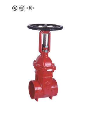 OS&Y GATE VALVE