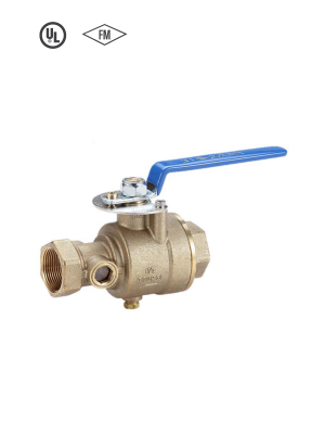 Test And Drain Valve