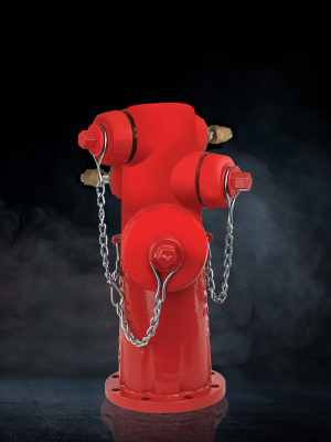 Wet Type Fire Hydrant (UL/ FM Approved)